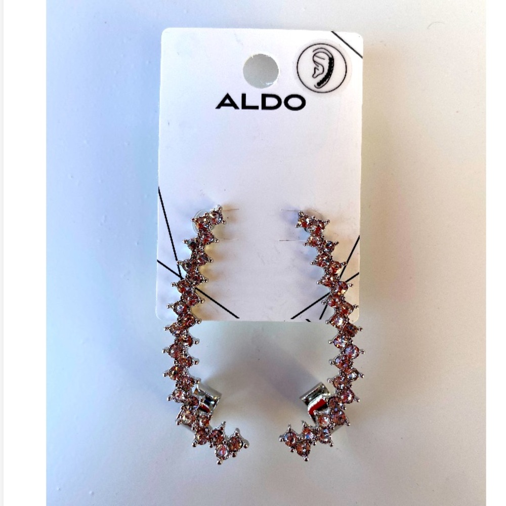 NWT Aldo Barbaiana Crystal Statement Earrings